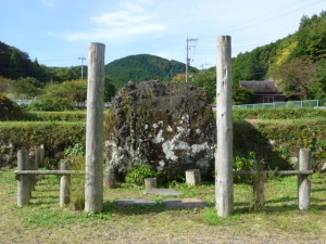 なんでも金太郎伝説
