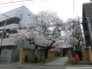3月24日